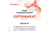 О вручении сертификата «Лидер тендерных продаж» 2025 в Комсомольске-на-Амуре О вручении сертификата «Лидер тендерных продаж» 2025 в Комсомольске-на-Амуре